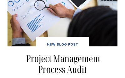 Understanding the True North PMP Consulting Project Management Process Audit