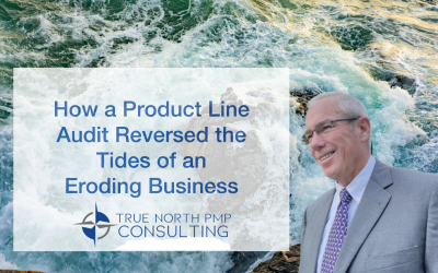 How a Product Line Audit Reversed the Tides of an Eroding Business